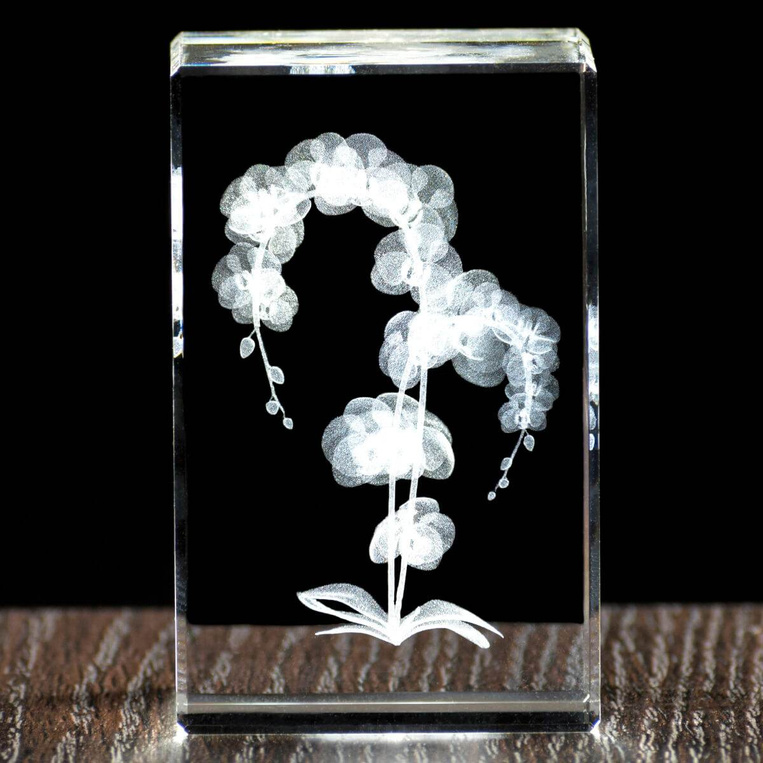 Storczyk w krysztale, wieczny kwiat to wyjątkowy prezent dla babci