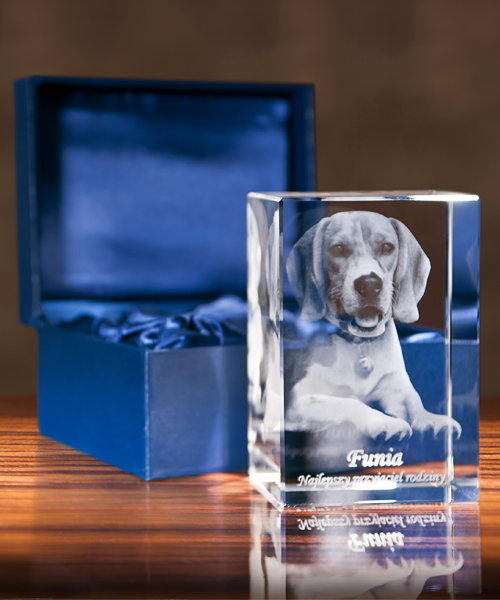 Zdjęcie 3D pieska w szkle na prezent - fotokryształ 3D