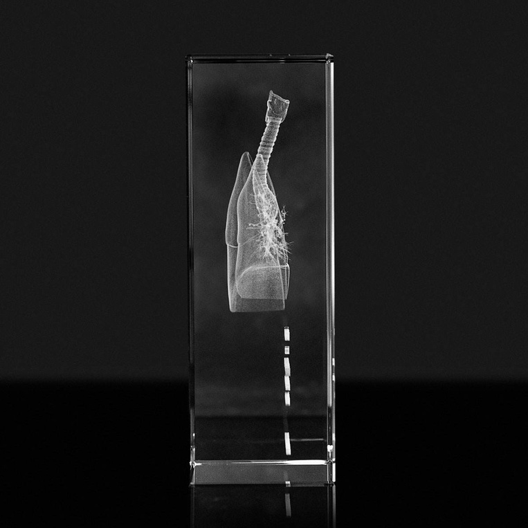 Model 3D płuc w krysztale - Prezent dla lekarza