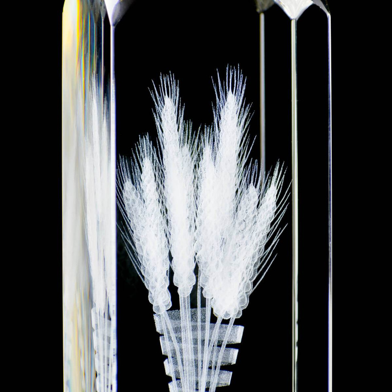 Statuetka dla rolnika, gospodarza, Kłosy 3D wręczana na Dożynki