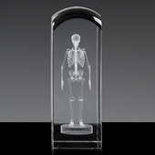 Szkielet 3D - prezent dla lekarza, absolwenta medycyny, doktora