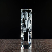 Ślubne podziękowania dla rodziców - Zdjęcie 3D wygrawerowane w krysztale