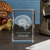 Grawerowany model mózgu 3D - kryształowa statuetka