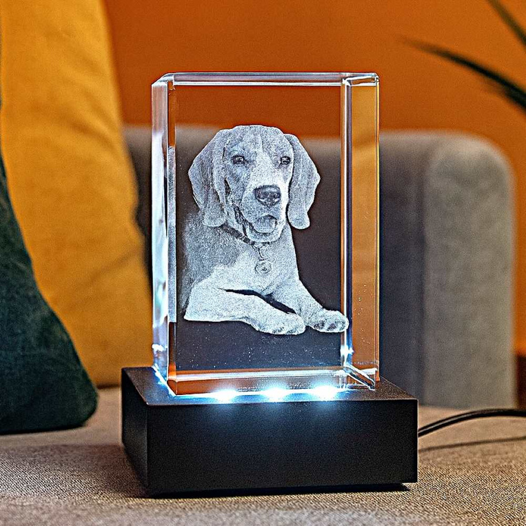 FOTOLAMPKA mała ze zdjęciem pieska 3D – prezent na Święta