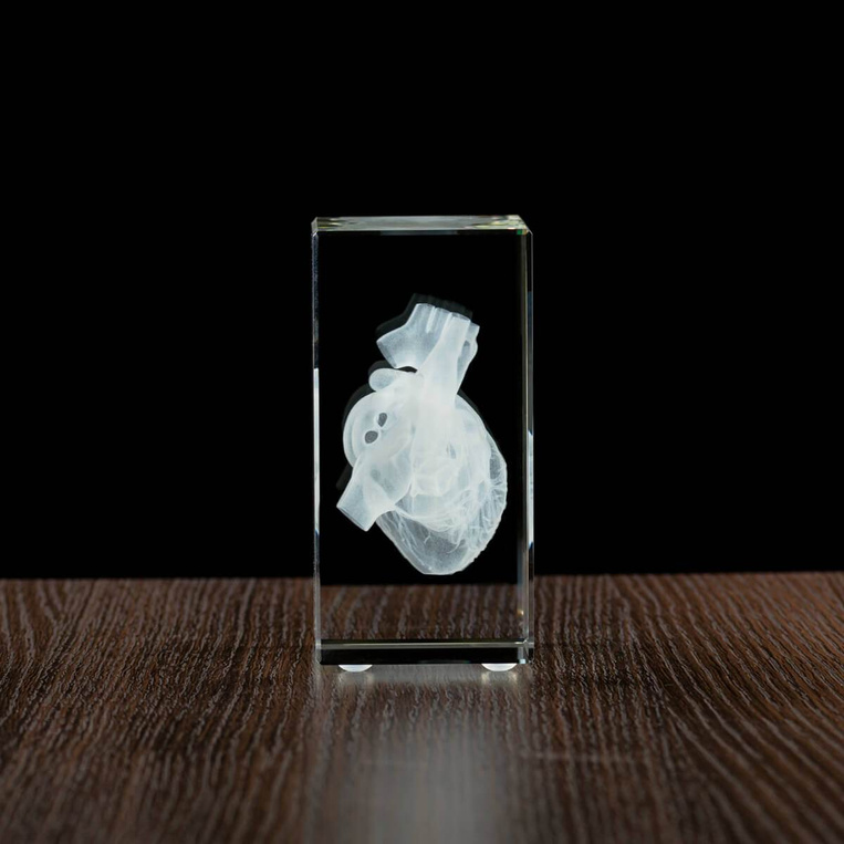 Model serca wygrawewany w statuetce, prezent dla lekarza, adepta medycyny