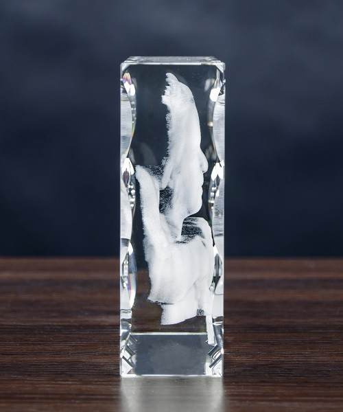 Duży ozdobny kryształ - Trójwymiarowe zdjęcie wraz z dedykacją