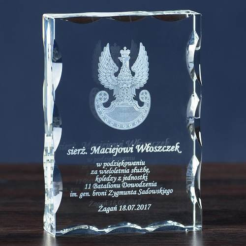 Podziękowanie za służbę w jednostkach lądowych DLA ŻOŁNIERZA