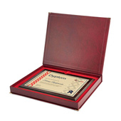 Dyplom 305X381 konkursowy - najlepszy SPRZEDAWCA HANDLOWIEC