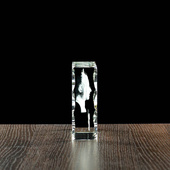 Podziękowania dla Policjanta 3D - odznaka i zdjęcie. Grawer w szkle