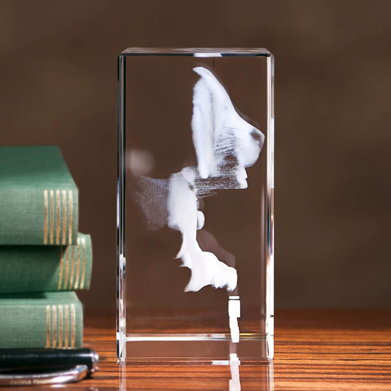 Statuetka dla miłośnika zwierząt - zdjęcie 3D psa wygrawerowane w szkle