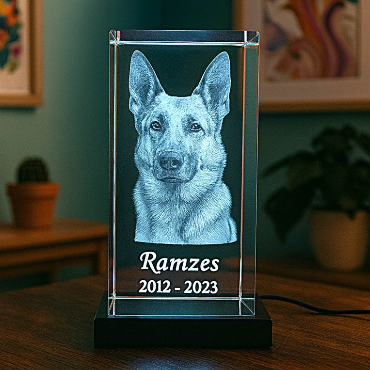 Statuetka kryształowa 3D z pupilem – fotolampka LED z imieniem psa