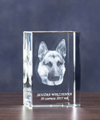 Prezent dla miłośnika psów - zdjęcie psa w służbie policji, więziennej