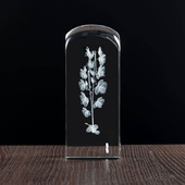 Kryształowy storczyk, Grawer 3D - Statuetka personalizowana