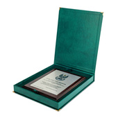 Etui SAMETI do podkładu 8x10 Zielone Pion