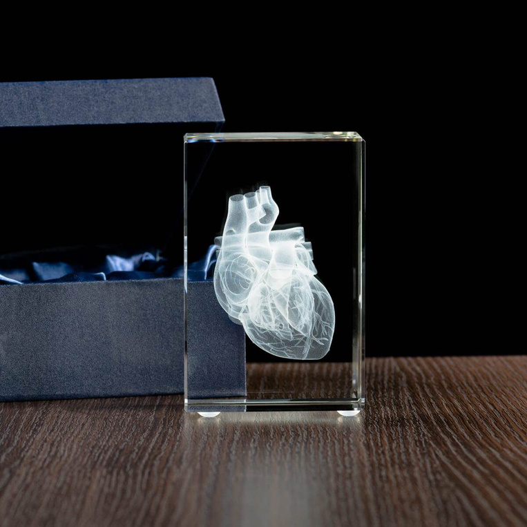 Model serca wygrawewany w statuetce, prezent dla lekarza, adepta medycyny