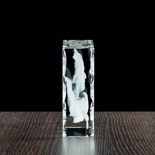 Prezent na rocznicę - zdjęcie 3D w krysztale, fotoprezent