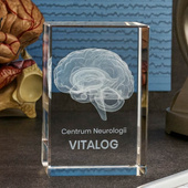 Grawerowany model mózgu 3D - kryształowa statuetka