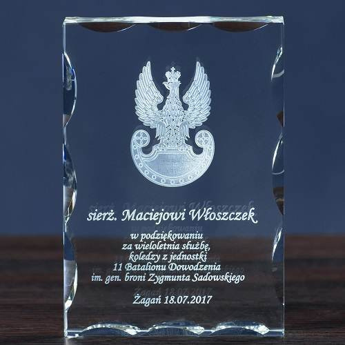 Podziękowanie za służbę w jednostkach lądowych DLA ŻOŁNIERZA