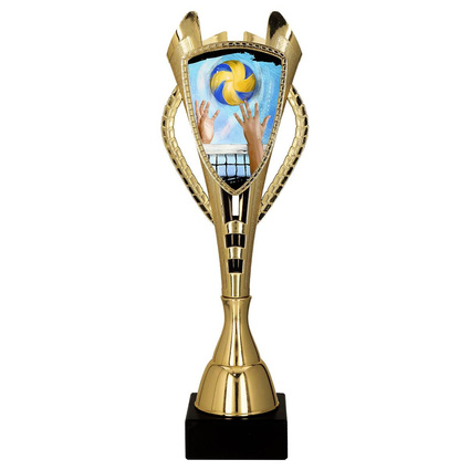 Puchar złoty A - Siatkówka