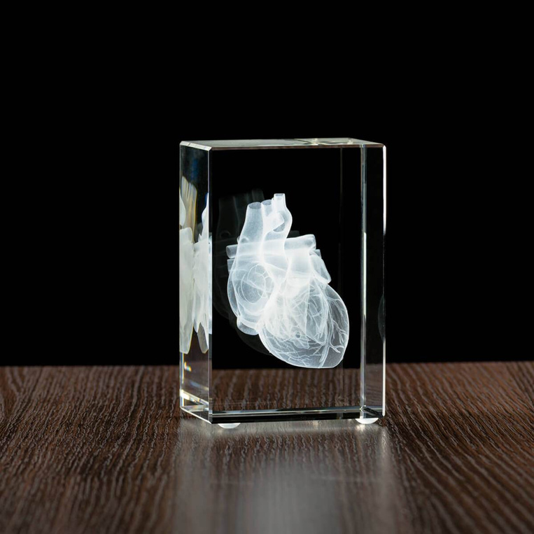 Model serca wygrawewany w statuetce, prezent dla lekarza, adepta medycyny