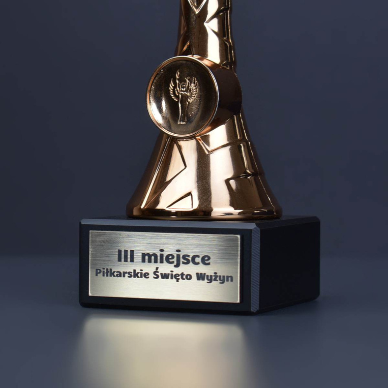 Puchar brązowy PUPB