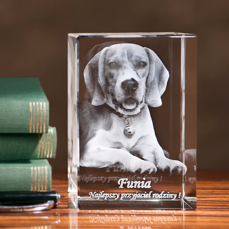 Twój Pies w 3D Prezent dla syna, męża, ukochanego - zdjęcie jego pupila w krysztale