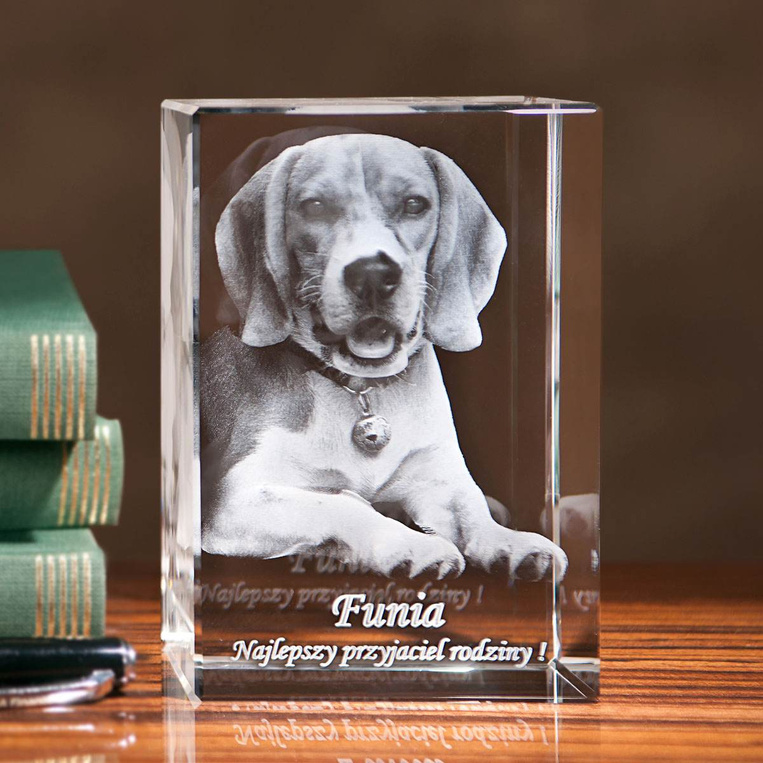 Fotokryształ 3D + LED z Twoim pieskiem – pamiątka dla miłośników zwierząt