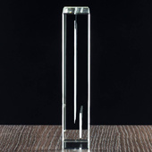 Prezent na dzień kobiet, rocznicę. Fotokryształ Duża statuetka