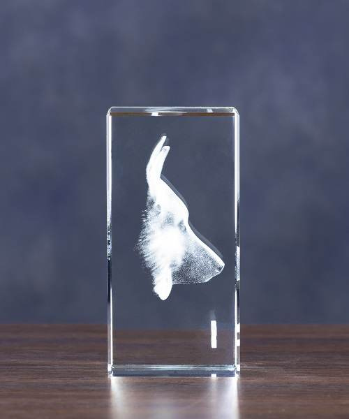 Prezent dla miłośnika psów - zdjęcie psa w służbie policji, więziennej