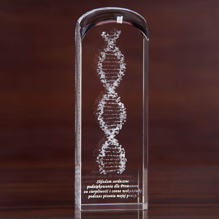 Podziękowania dla Promotora pracy - łańcuch DNA 3D
