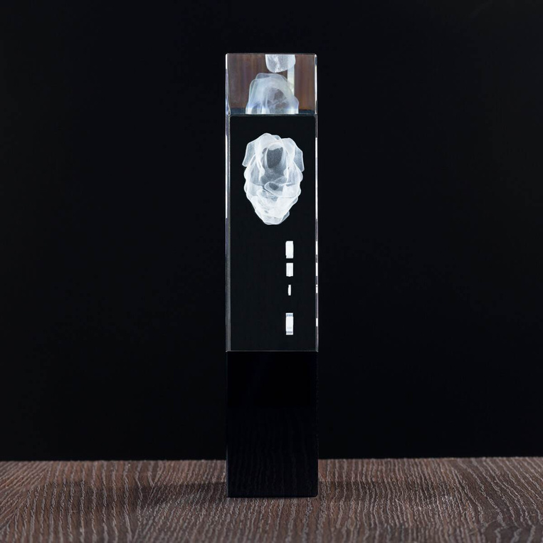 Kryształowe trofeum, podziękowanie za wieloletnią współpracę