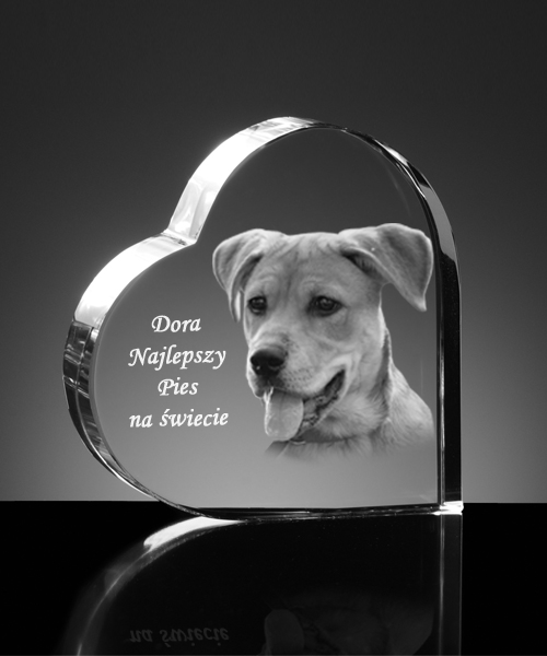 Kryształowe serce 3D 110×110×20 mm – Twój pupil w grawerze