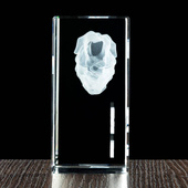 Podziękowania dla promotora pracy z Twoją dedykacją