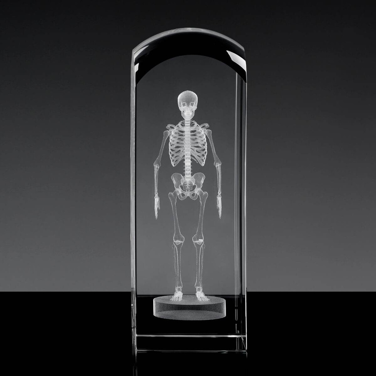 Szkielet 3D - statuetka na prezent dla lekarza w dużej statuetce 19x6,5x6,5 cm