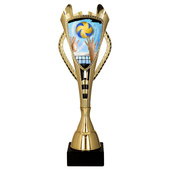 Puchar złoty A - Siatkówka