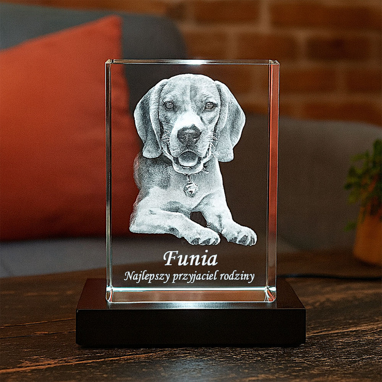 Fotokryształ 3D + LED z Twoim pieskiem – pamiątka dla miłośników zwierząt