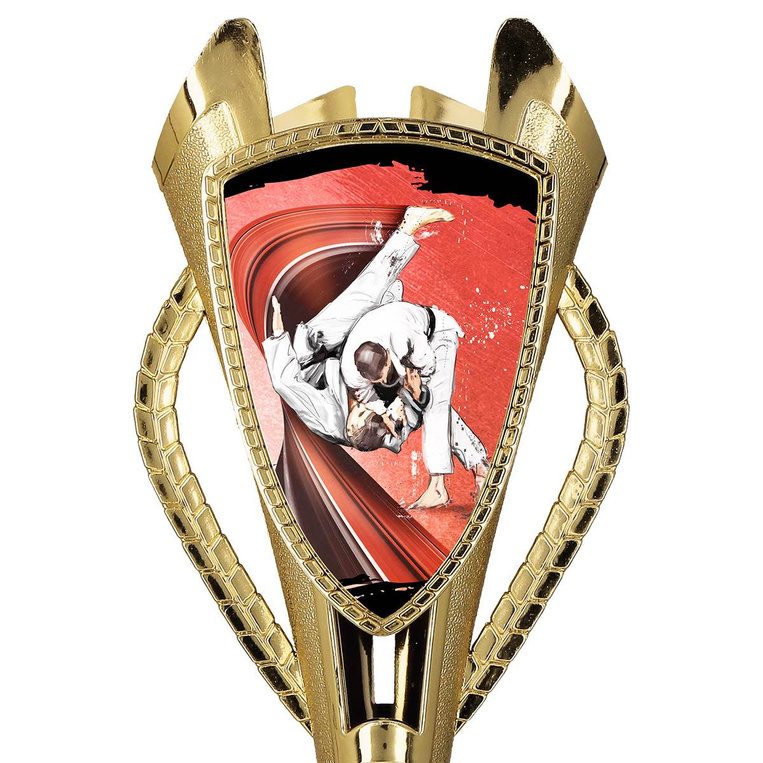 Puchar złoty C - Judo