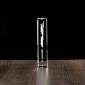 Podziękowania dla Policjanta statuetka Płyta Płaska Odznaka i ID policjanta