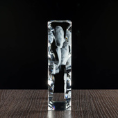 Fotokryształ 3D z grawerunkiem zdjęcia – elegancka pamiątka rocznicowa