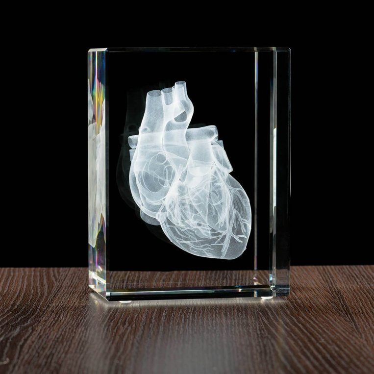 MEGASTATUETKA Serce 3D, Statuetka dla lekarza, kardiologa