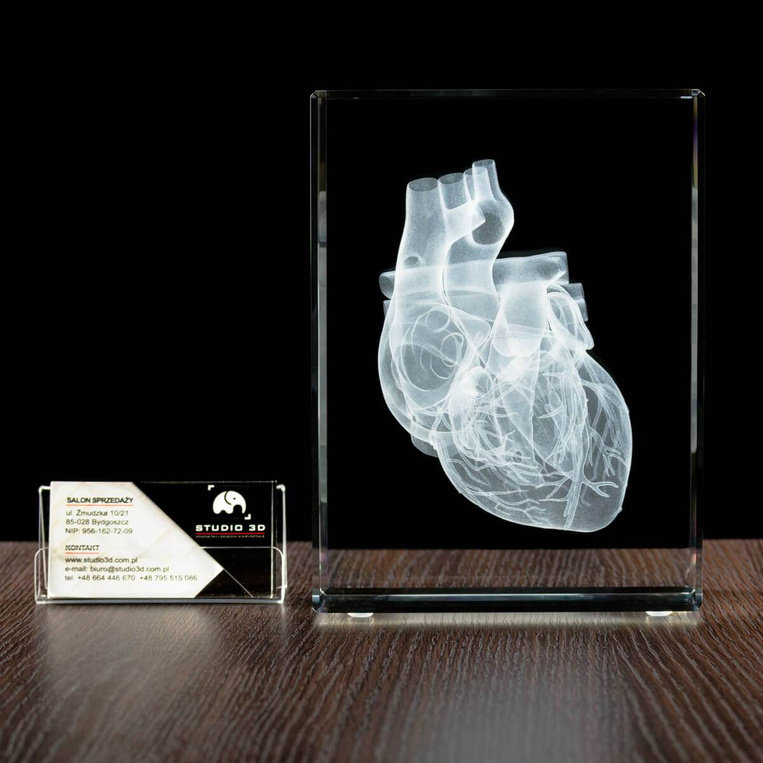 MEGASTATUETKA Serce 3D, Statuetka dla lekarza, kardiologa