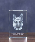 Pies w służbie mundurowej - zdjęcie 3D w szkle. Grawer
