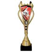 Puchar złoty A - Judo