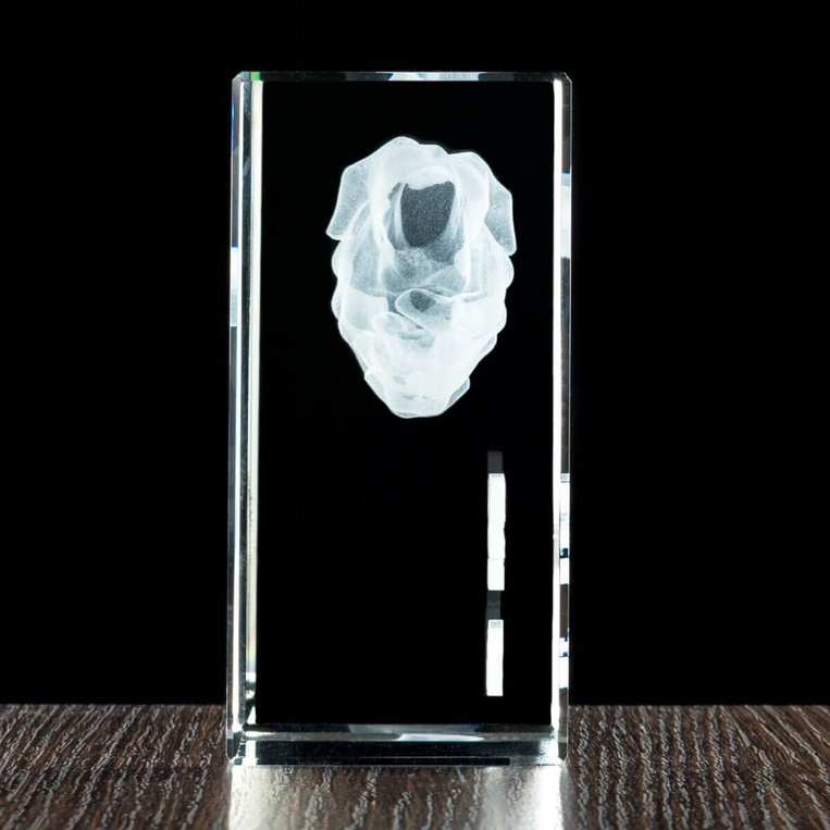 Statuetka 3D dla uczestnika zawodów