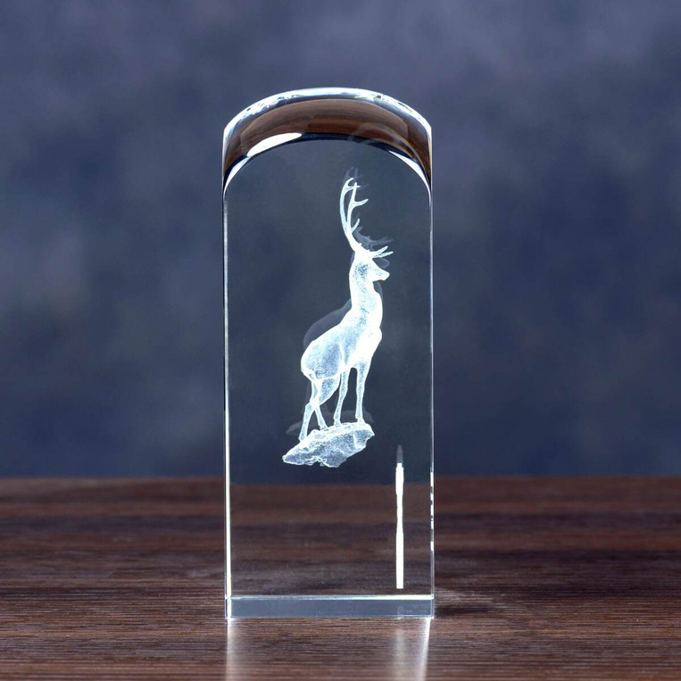 Gratulacje dla myśliwego HUBERTUS - JELEŃ 3D. Podziękowania