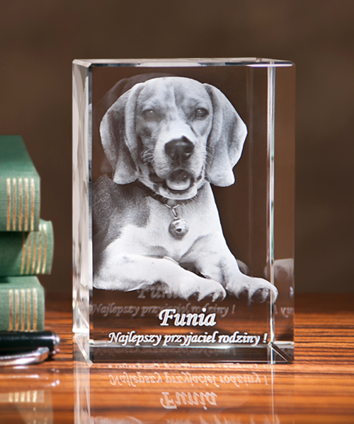 Zdjęcie trójwymiarowe pieska - Fotoprezent 3D w statuetce 80x50x50 mm