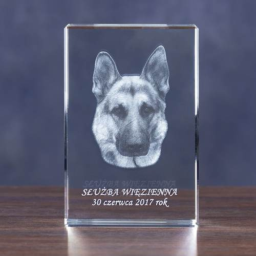 Prezent dla miłośnika psów - zdjęcie psa w służbie policji, więziennej