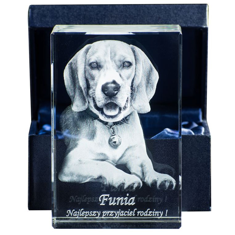 PIES 3D wygrawerowany w krysztale na prezent DLA DZIEWCZYNY ŻONY CÓRKI