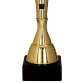 Puchar złoty C - Piłka nożna - napastnik strzelec