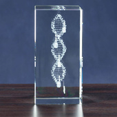 MEGASTATUETKA - Kwas DNA personalizowany dedykacją. Oś czasu firmy